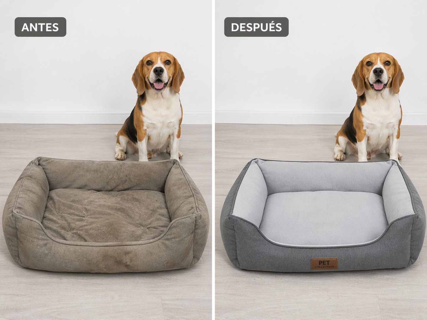 Antes y después de camita para mascota
